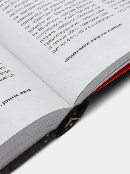 Сектор Газа. Черновики и рукописи легенды. Заметки, хиты и неизданные песни