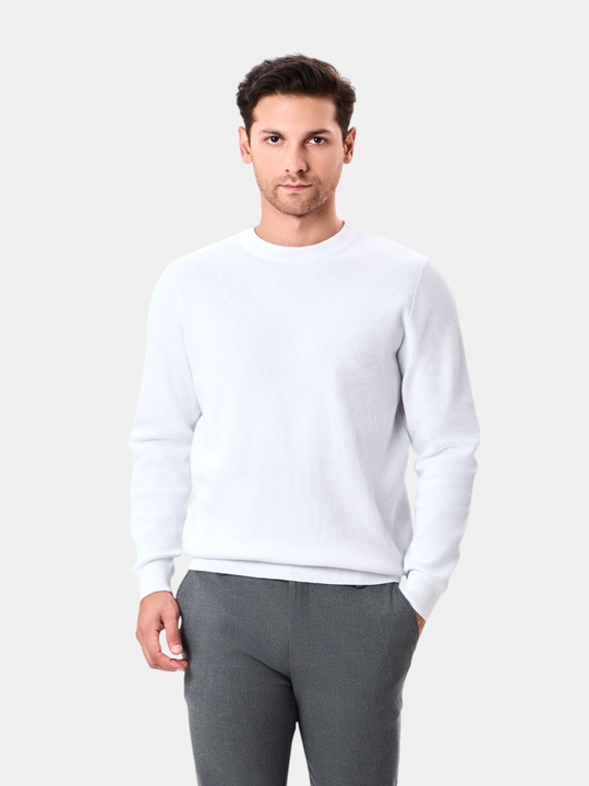 Erkaklar jemperi TERRA PRO, uzun yengli AW24CR2-29-20893