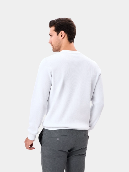 Erkaklar jemperi TERRA PRO, uzun yengli AW24CR2-29-20893
