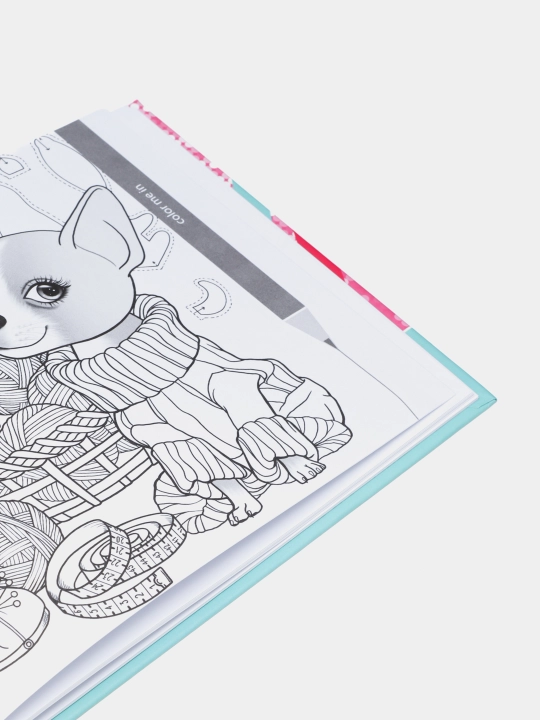 Sketchbuk Fresh 21569, toza varaqlar, matli laminatsiya, 7BS, 197 * 145 mm, 24 varaq