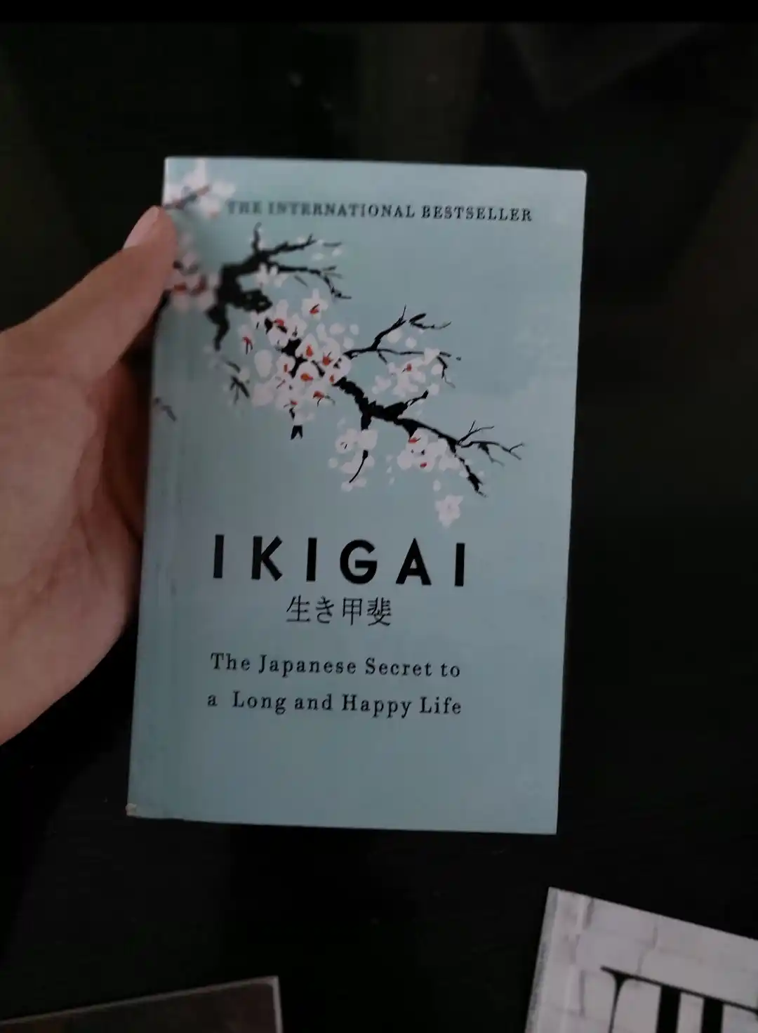 Ikigai - Hector Garcia and Francesc Miralles A5