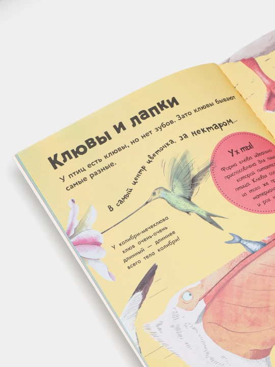 Kitob "Kakiye byvayut ptitsy?"