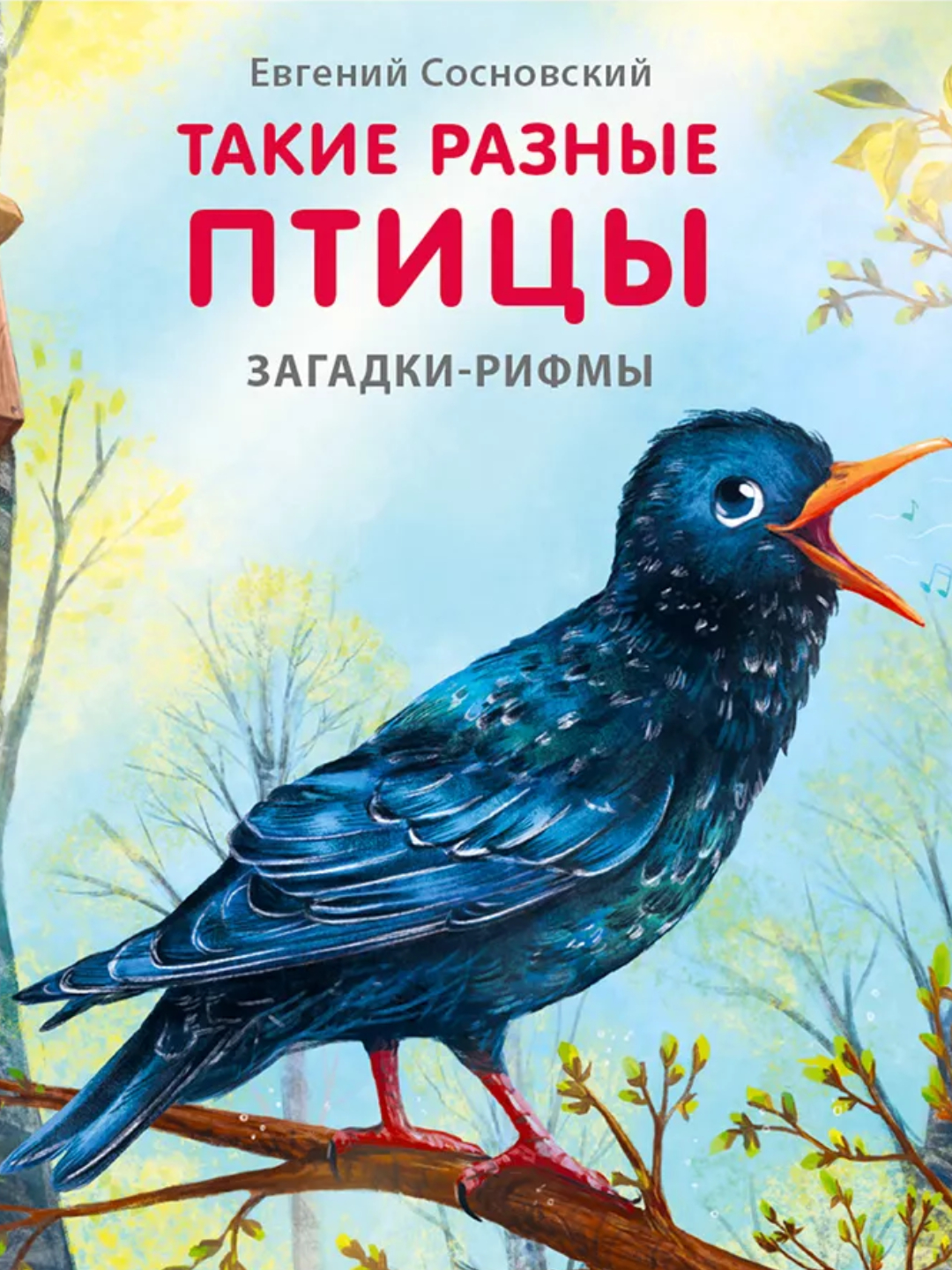 Загадки про птиц для дошкольников