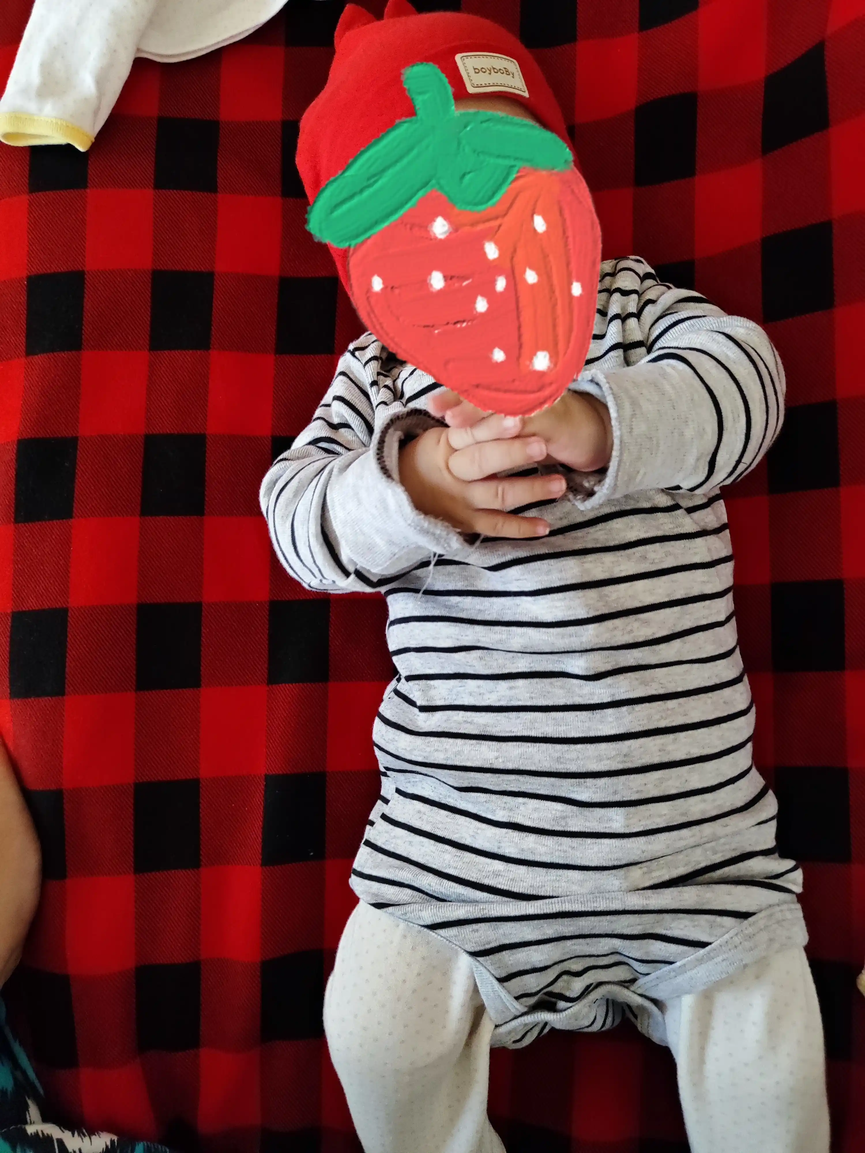 Боди Carter's для младенцев, комплект из 3 шт, 100% ХБ, 3-24 месяца, весна-лето-осень