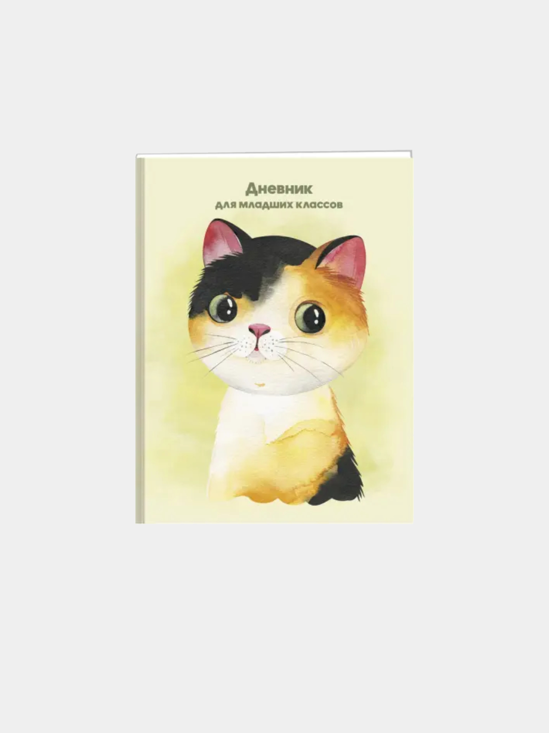 Sekin jinsiy aloqa tantrasi sochi olmagan mushuk bilan qoramagiz