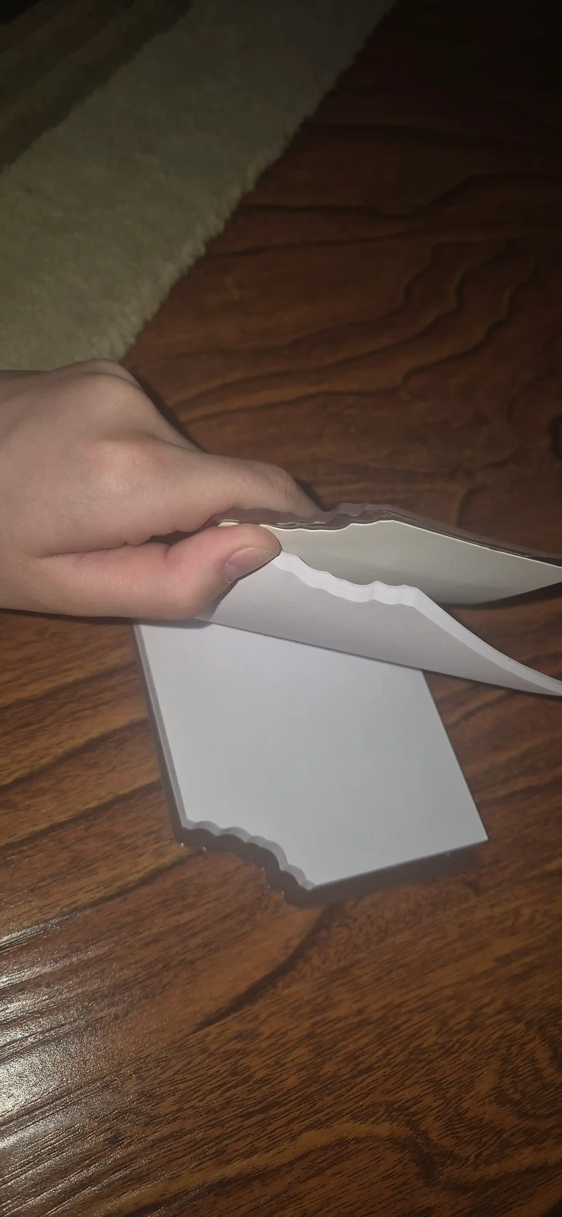 Pechene va shokolad hidi bo'lgan bloknotlar, shokolad va pechene ko'rinishida, 3D