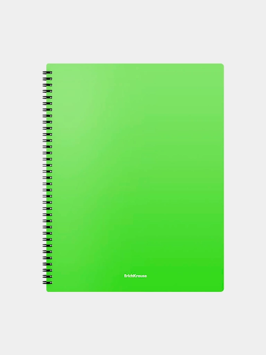 Папка файловая на спирали ErichKrause Matt Neon, с 40 карманами, A4, ассорти 49954