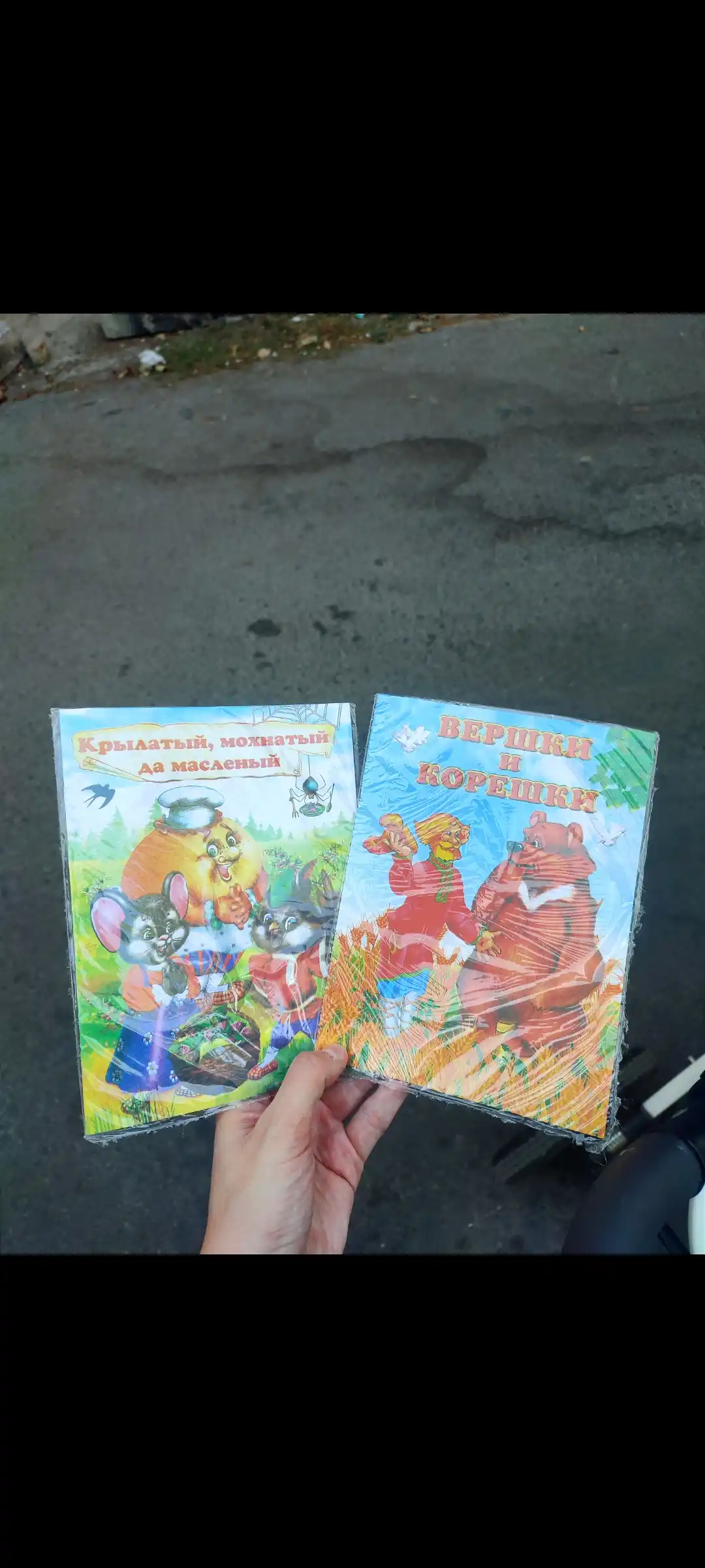 Krylatyy, mokhnatyy da maslenyy, Narodnaya skazka, seriya "Skazki-mini"