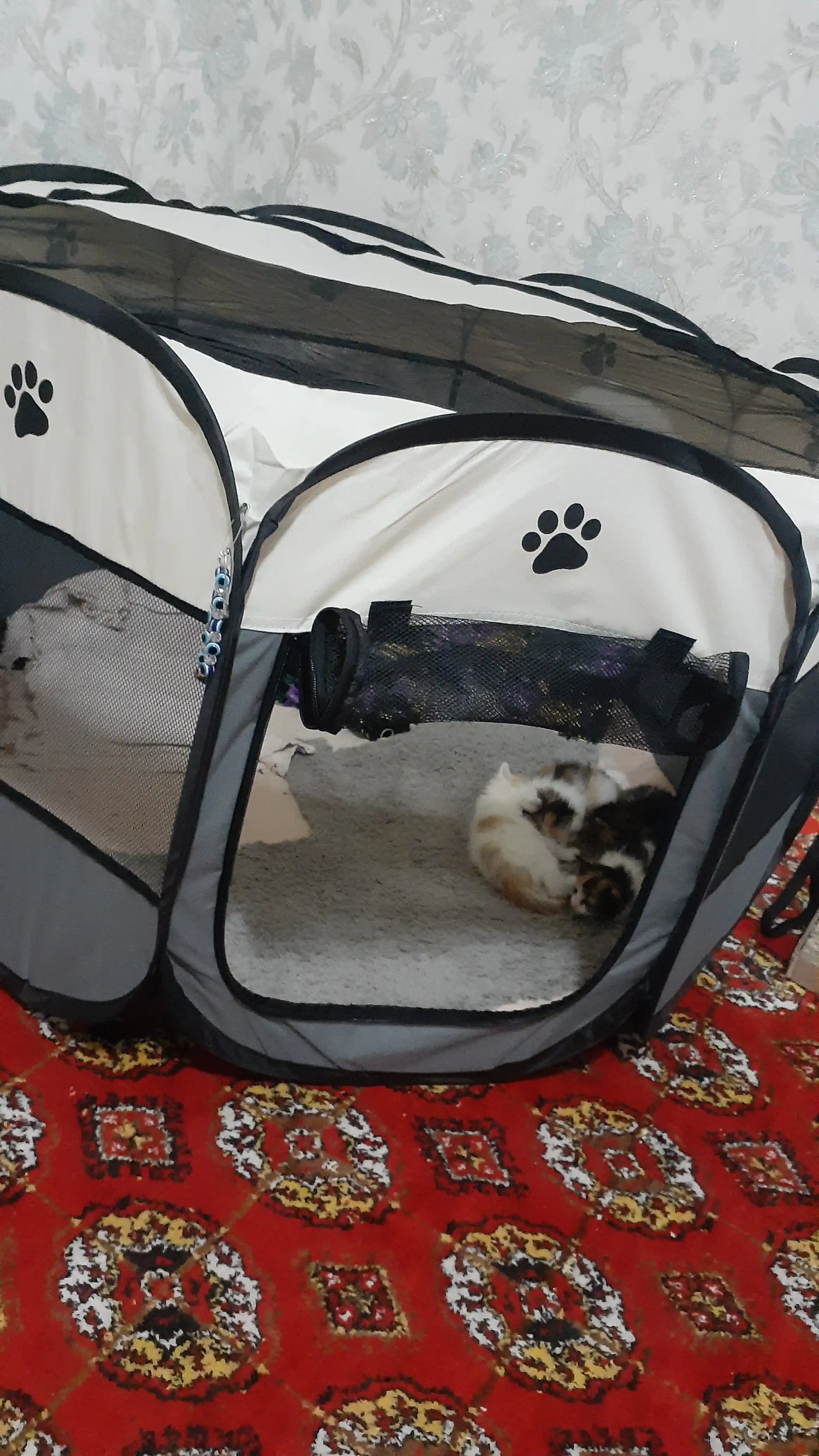 Mushuklar va itlar uchun buklanadigan volyer-manej tent, S-M-L