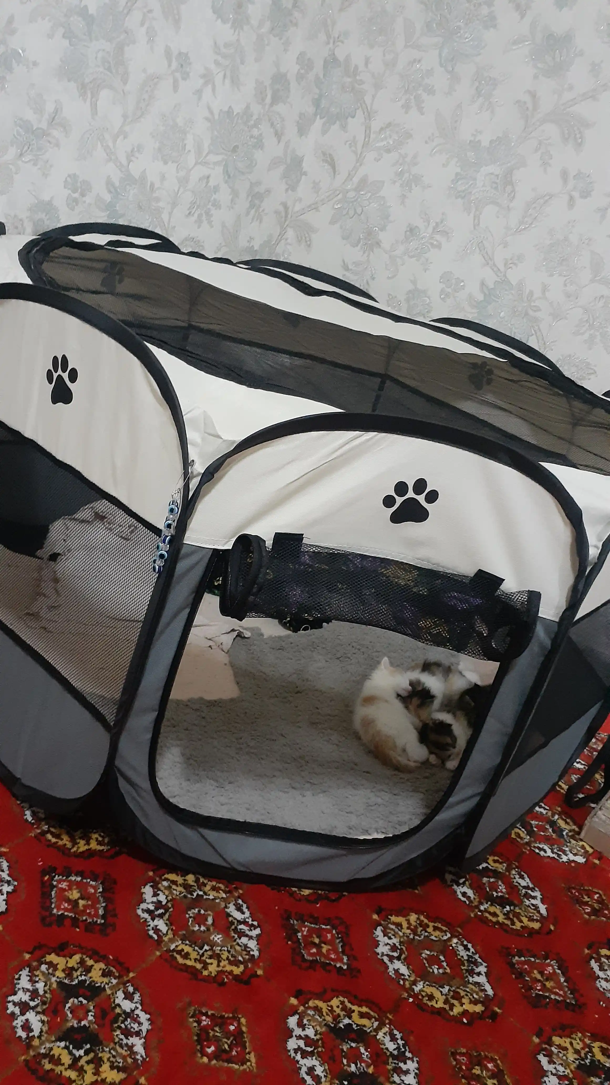 Mushuklar va itlar uchun buklanadigan volyer-manej tent, S-M-L
