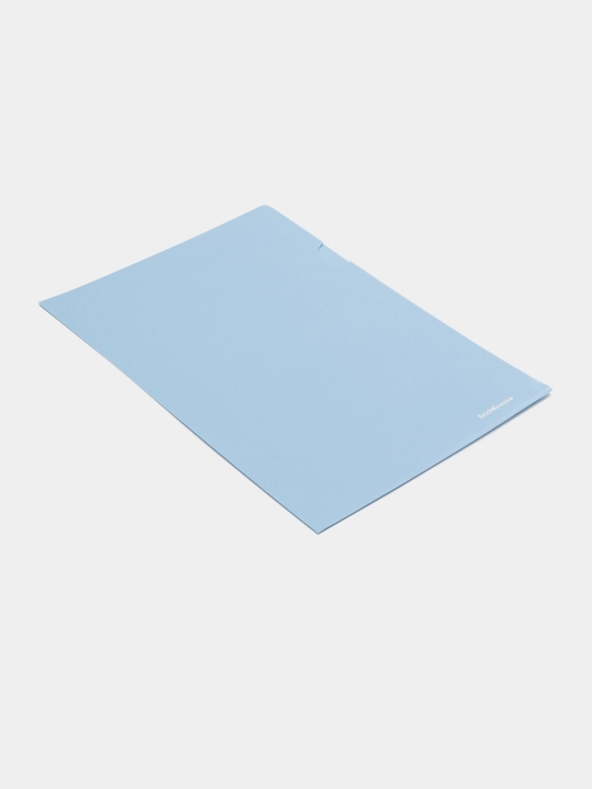 Burchak papka plastik ErichKrause Soft Manga, A4, shaffof emas, assorti 61135 - 