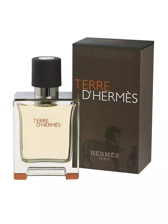 Туалетная вода для мужчин Terre d'Hermès, 100 мл - 