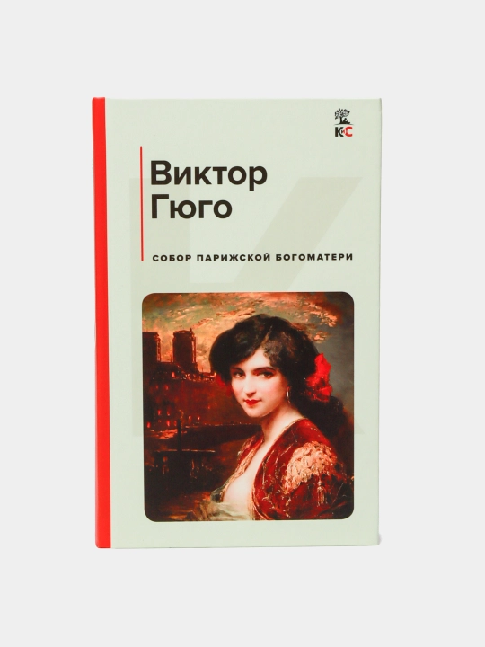 Собор Парижской Богоматери, Виктор Гюго - 