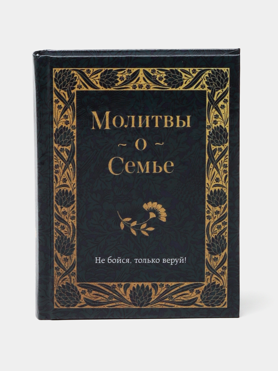 Molitvi o Semye. Ne boysya, tolko veruy!