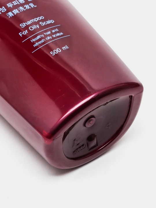 Шампунь для жирных, сухих, вьющихся и разных типов волос, Daeng Gi Meo Ri, Shampoo, 500 мл
