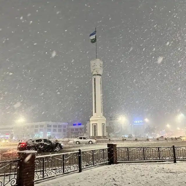 Erkaklar uchun trusiklar, boksyorlar