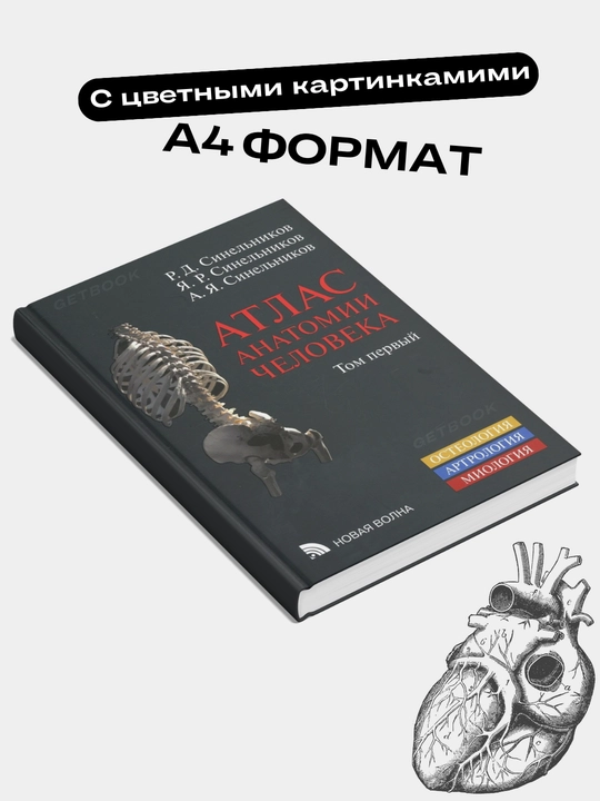 Atlas anatomii cheloveka 1 tom, Sinel'nikov, yangi nashr 2019 yil