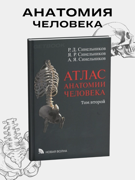 Atlas anatomii cheloveka. Sinel'nikov. Tom 2