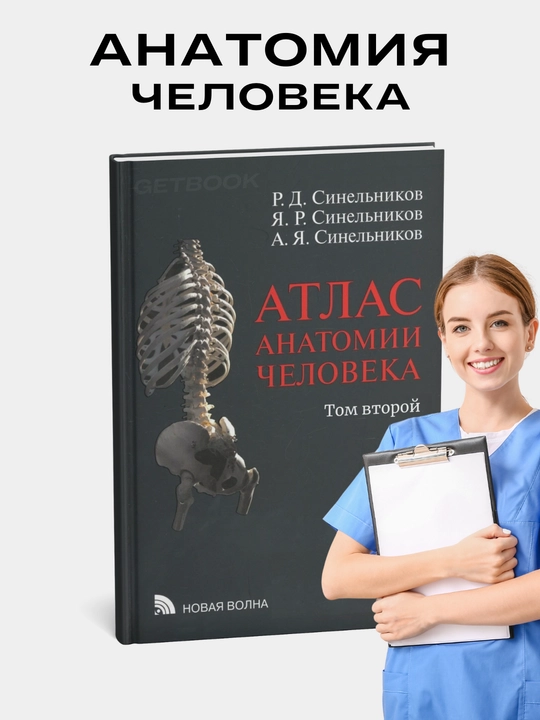 Atlas anatomii cheloveka. Sinel'nikov. Tom 2 - 