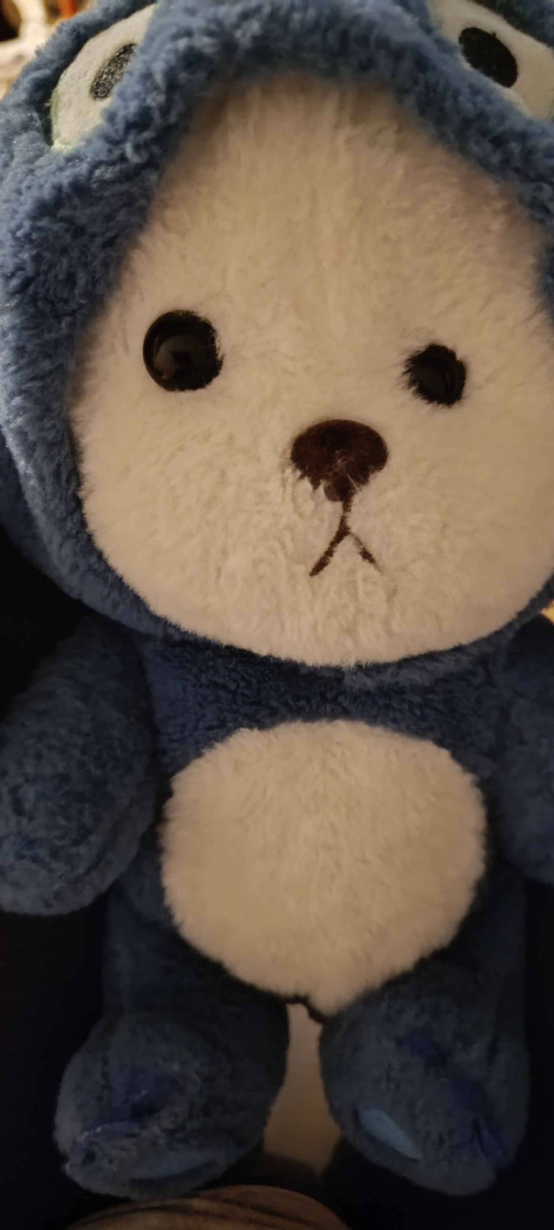 Video kliplar, kliplar, porno videolar