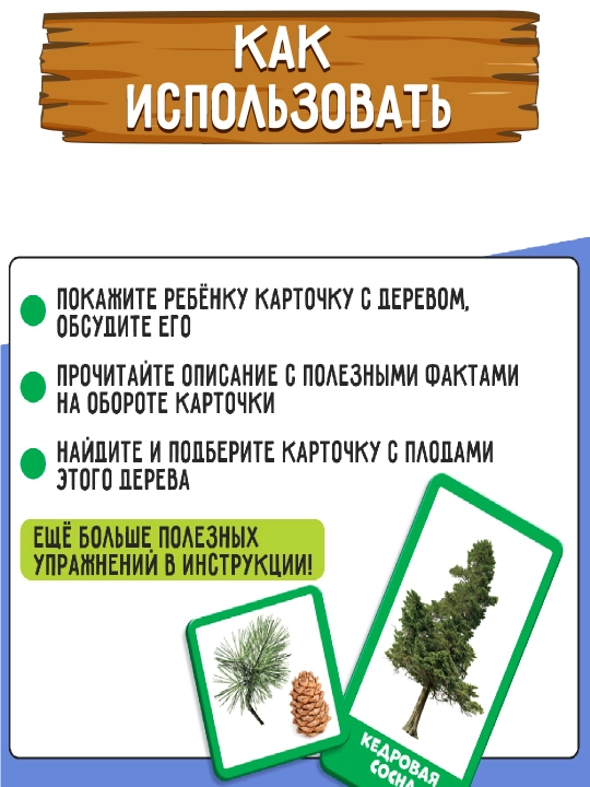 Развивающий набор "Хвойные и лиственные деревья"
