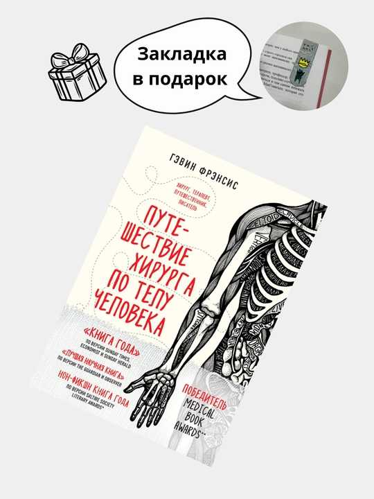 Путешествие хирурга по телу человека, Гэвин Фрэнсис