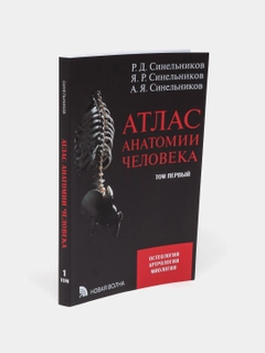 Алый
