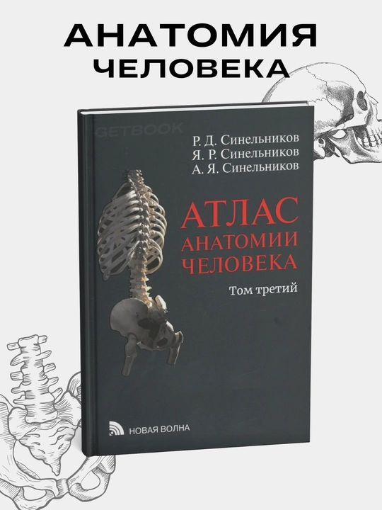 Atlas anatomii cheloveka, Sinel'nikov, Tom 3