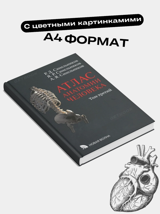 Atlas anatomii cheloveka, Sinel'nikov, Tom 3