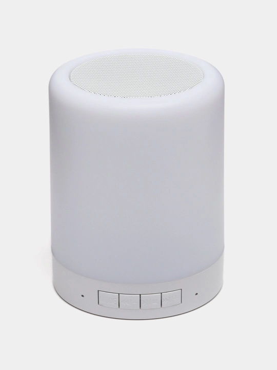 Portativ simsiz Bluetooth dinamik - 