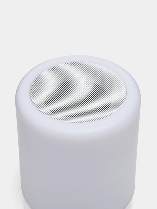 Portativ simsiz Bluetooth dinamik
