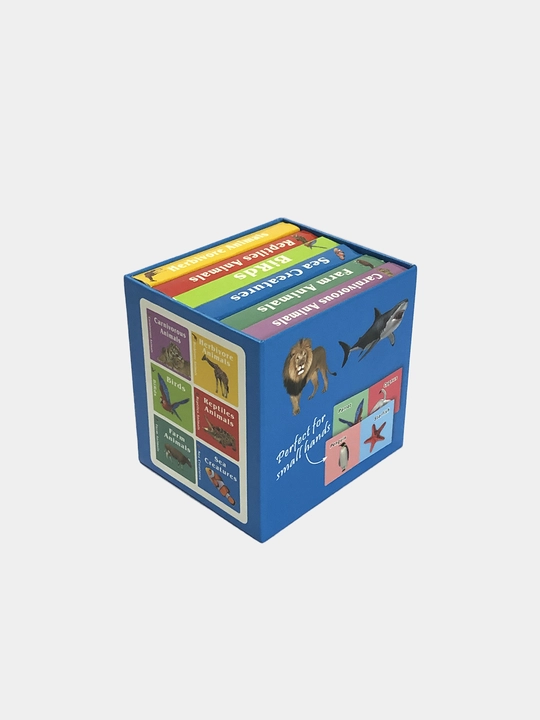 Ingiliz tilini o'rgatish uchun Usborne kitobi, qattiq muqovali bolalar kitoblari, 10 dona