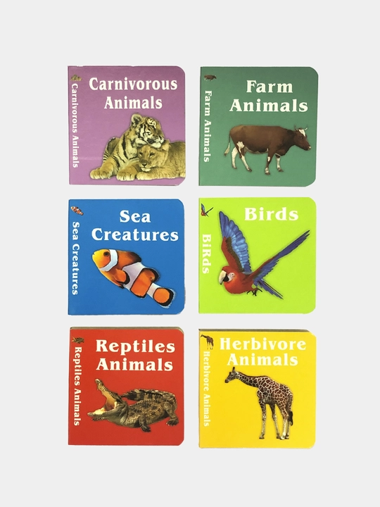 Ingiliz tilini o'rgatish uchun Usborne kitobi, qattiq muqovali bolalar kitoblari, 10 dona