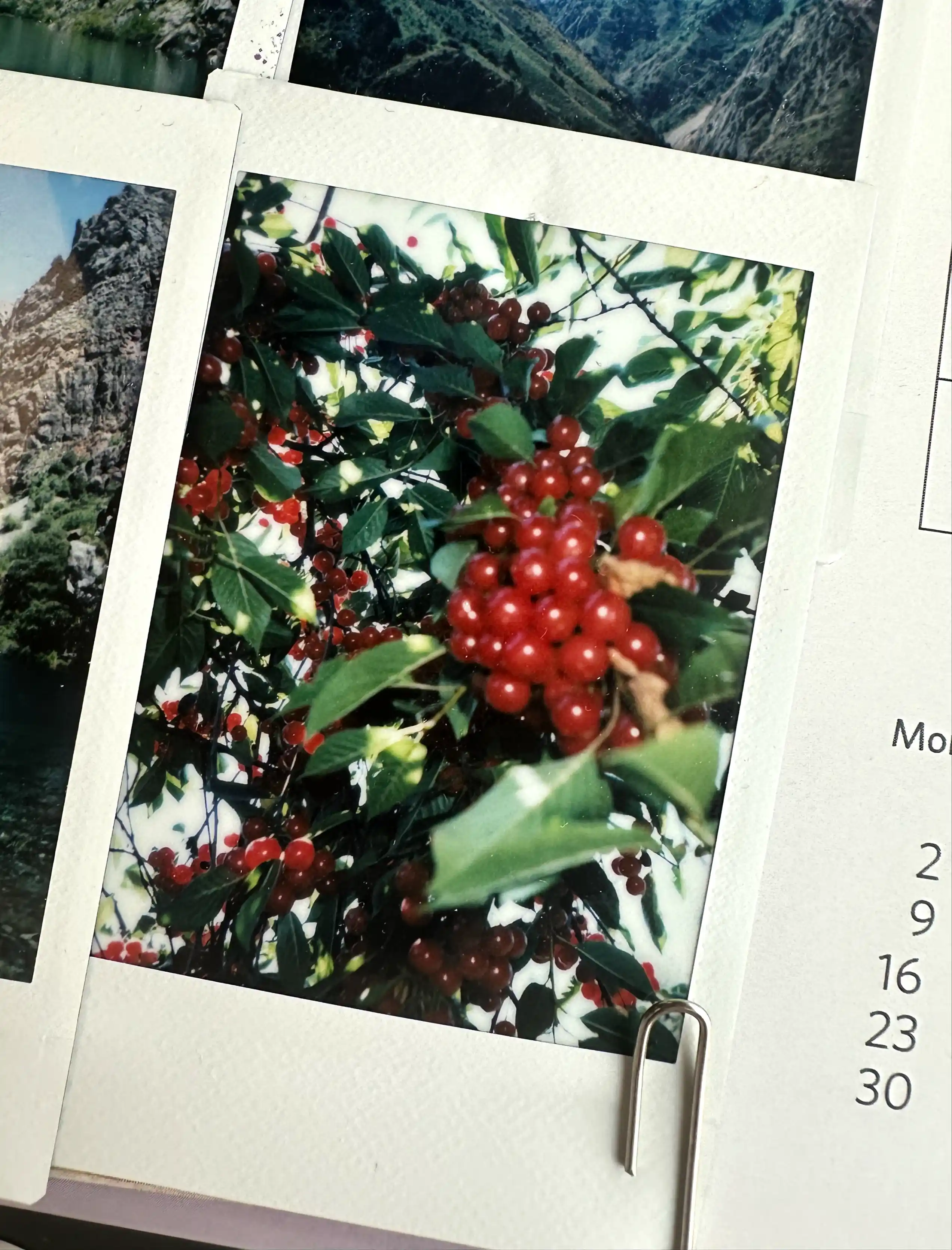 Instax Mini tezkor chop etish fotoapparati uchun kartrij, 10 ta fotosurat