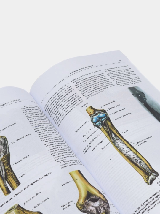 Atlas anatomii cheloveka. V 4-x tomax, Sinelnikov
