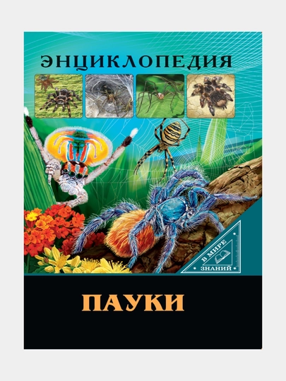 Энциклопедия, В мире знаний, Пауки — GORFAM-GR7241