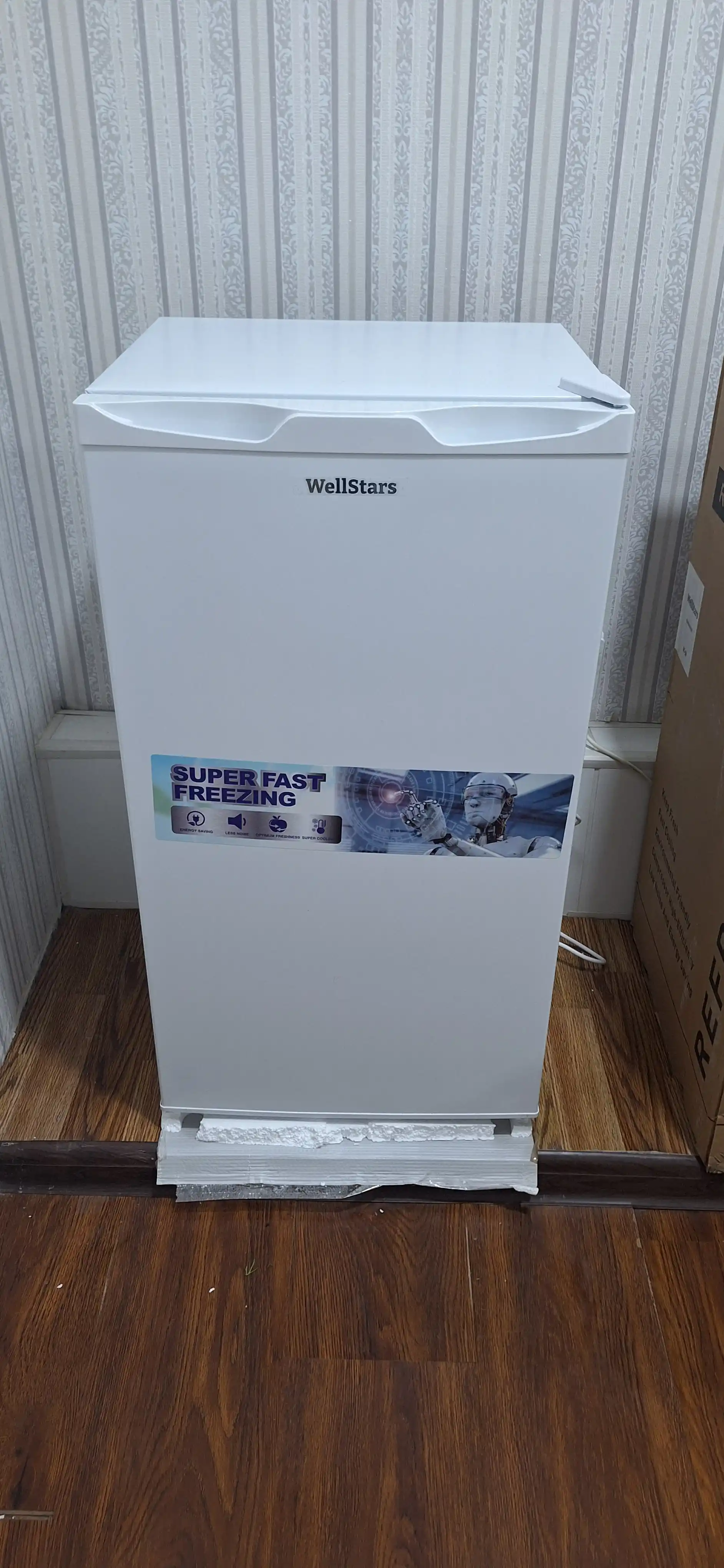 Холодильник WellStars DeFrost, 90, 225 л