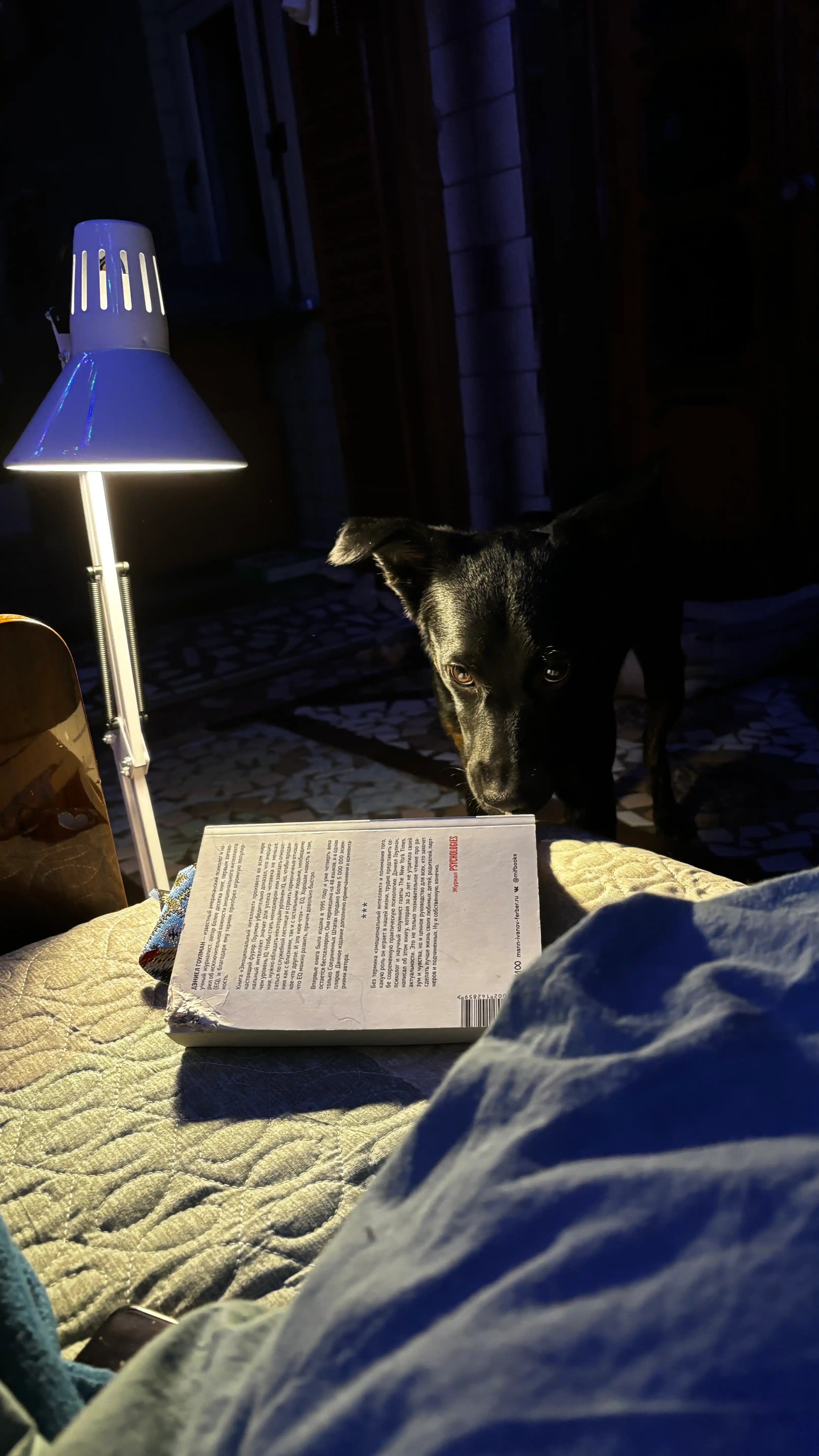 Stol lampa maktab o'quvchilar uchun svitilnik metal korpus, tungi chiroq + zajim sovg'a