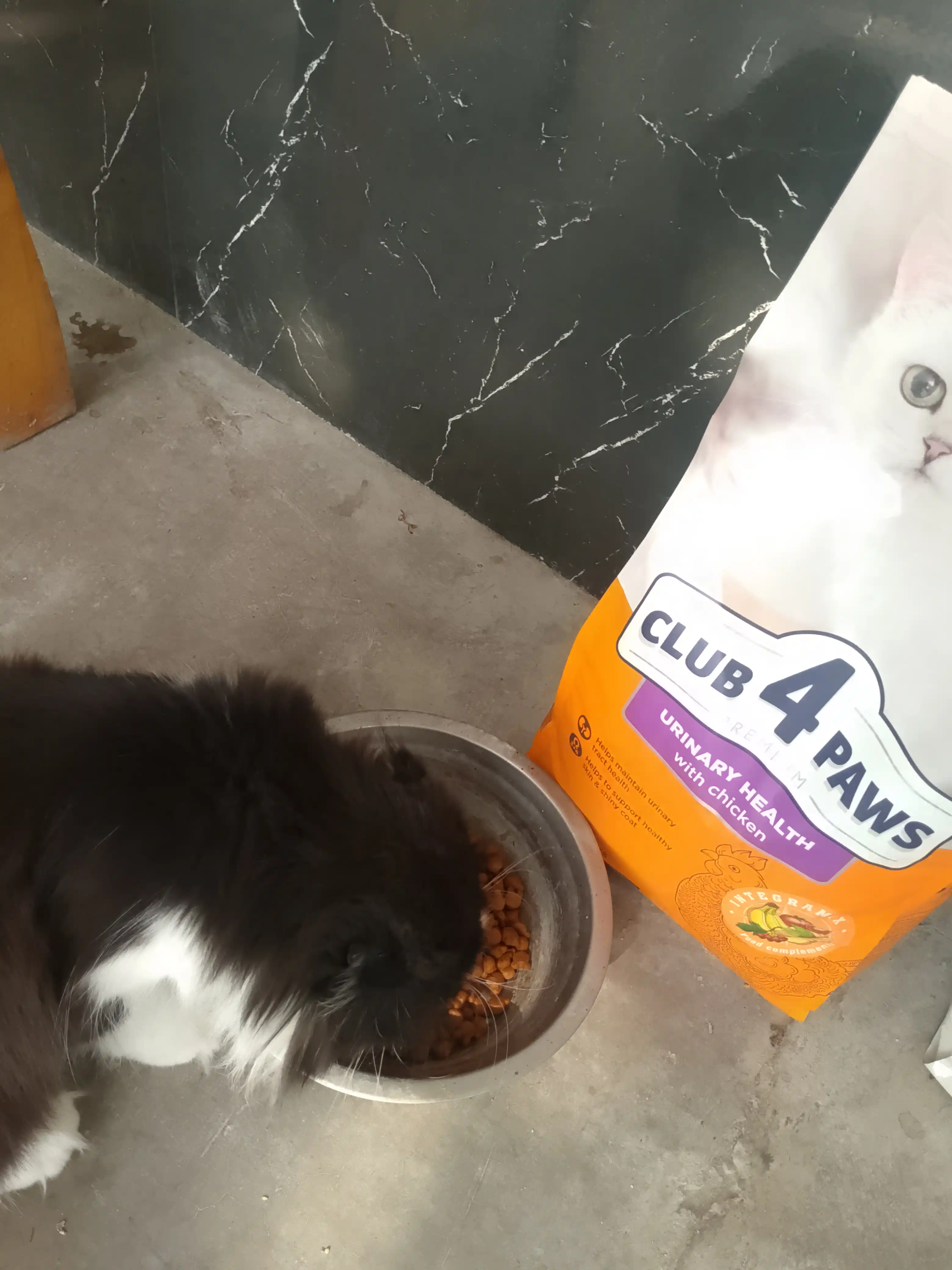 Club 4 Paws Adult Cats Urinary сухой корм для кошек, для здоровья мочевыводящих путей,2 кг