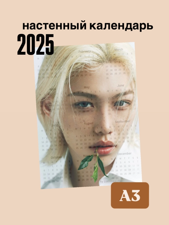 Devor taqvimi, StrayKids guruhi bilan, 2025 yil - 
