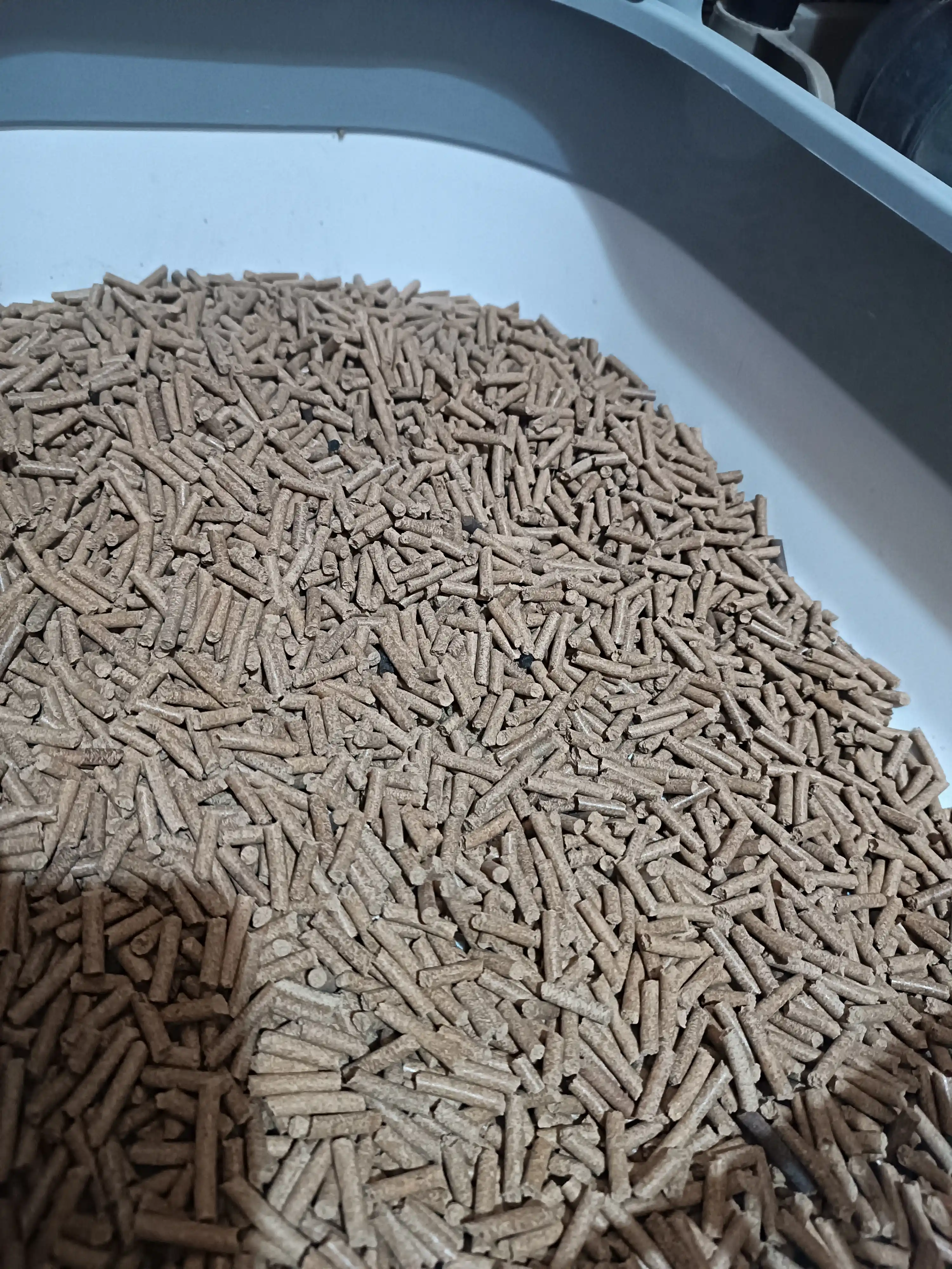 Uy hayvonlar tuvaklari uchun to'ldiruvchi BioPetto, 10 kg
