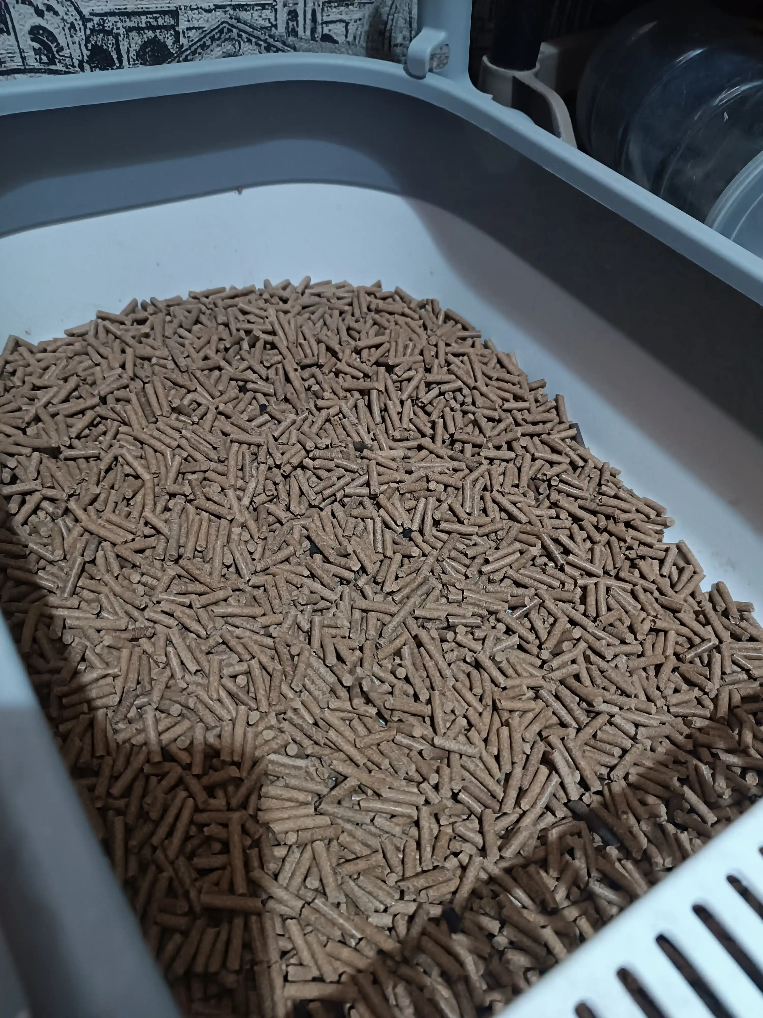 Uy hayvonlar tuvaklari uchun to'ldiruvchi BioPetto, 10 kg