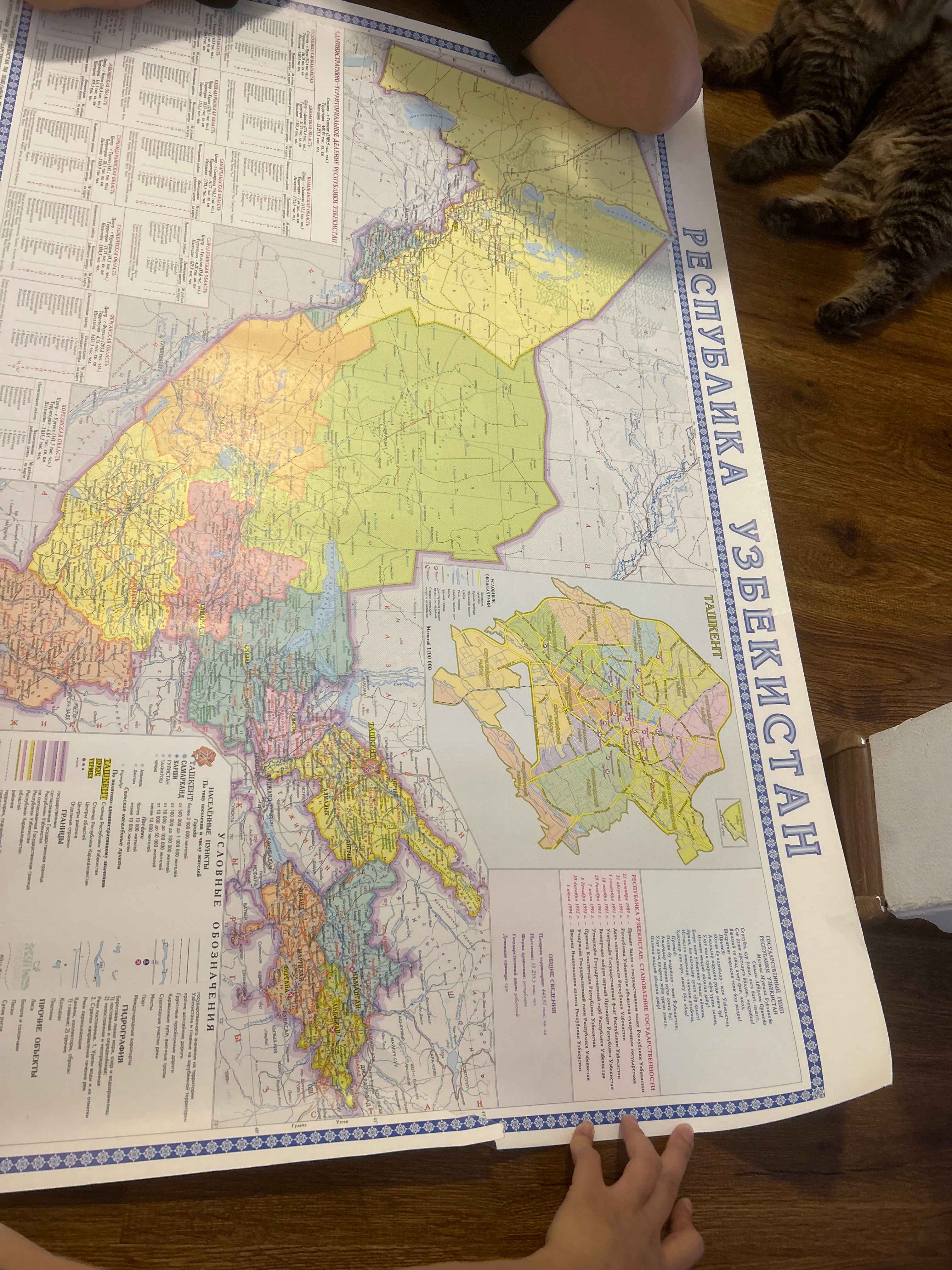 Oq külot porno rasmlar soch