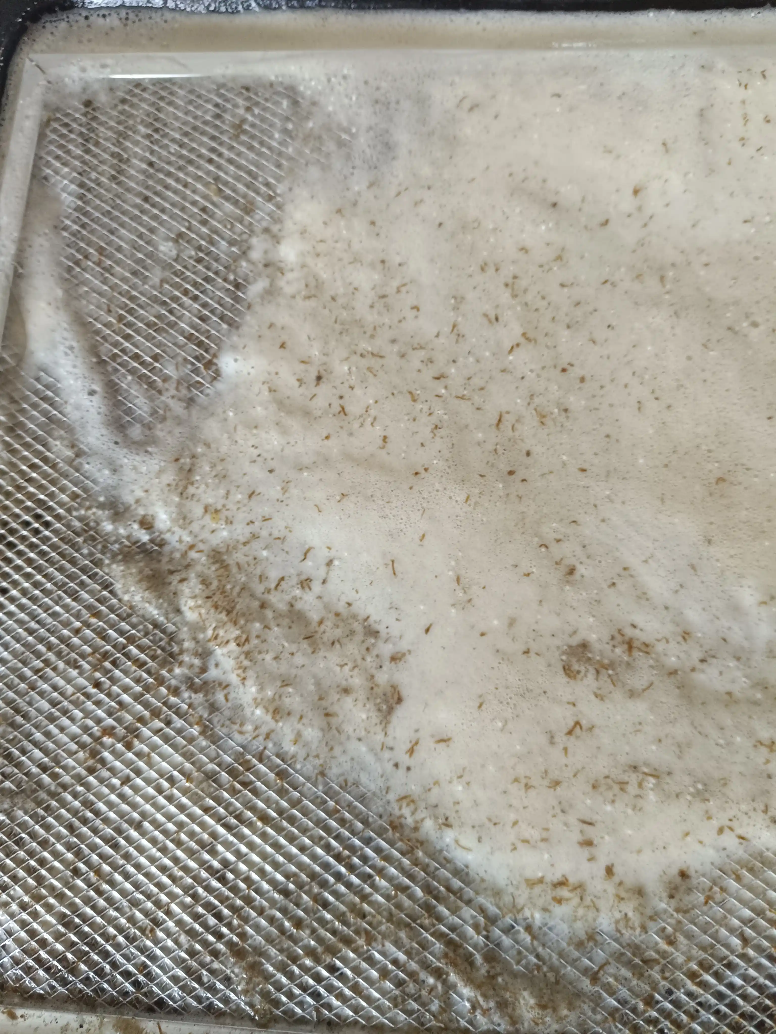 Kislorodli tozalovchi, oqartiruvchi, dog' olib tashlovchi, Aqua Magic, 1 kg