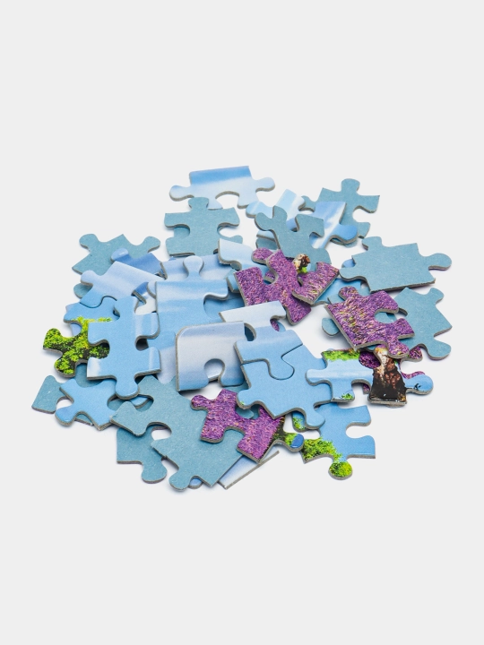 Мозаика "puzzle" 133 "Лаванда" Релакс-пазл 67003 q0000039438