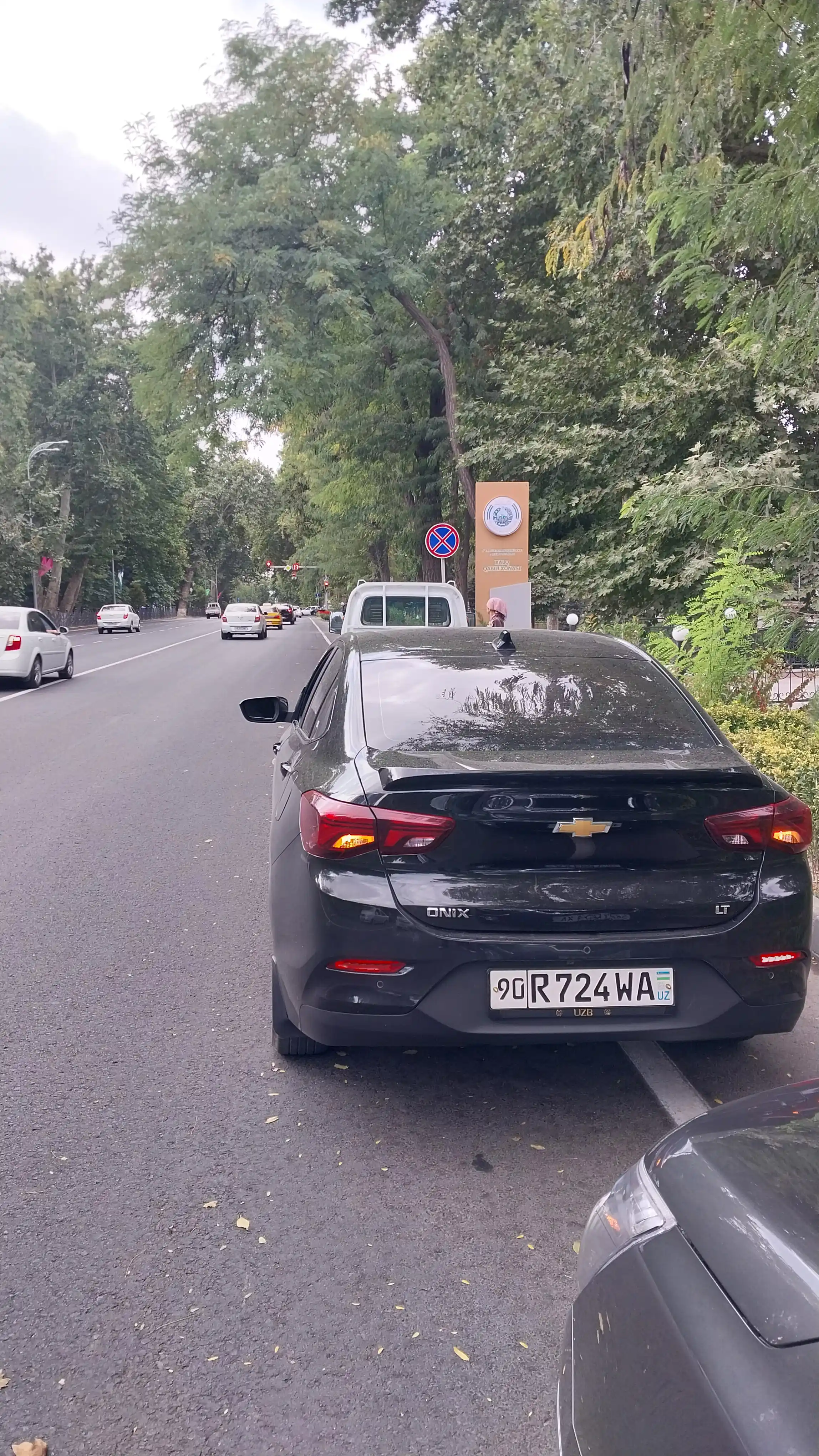 MONZA, ONIX Монза, Оникс qanoti avtomobilining orqa yukxonasi uchun spoyler oq va qora