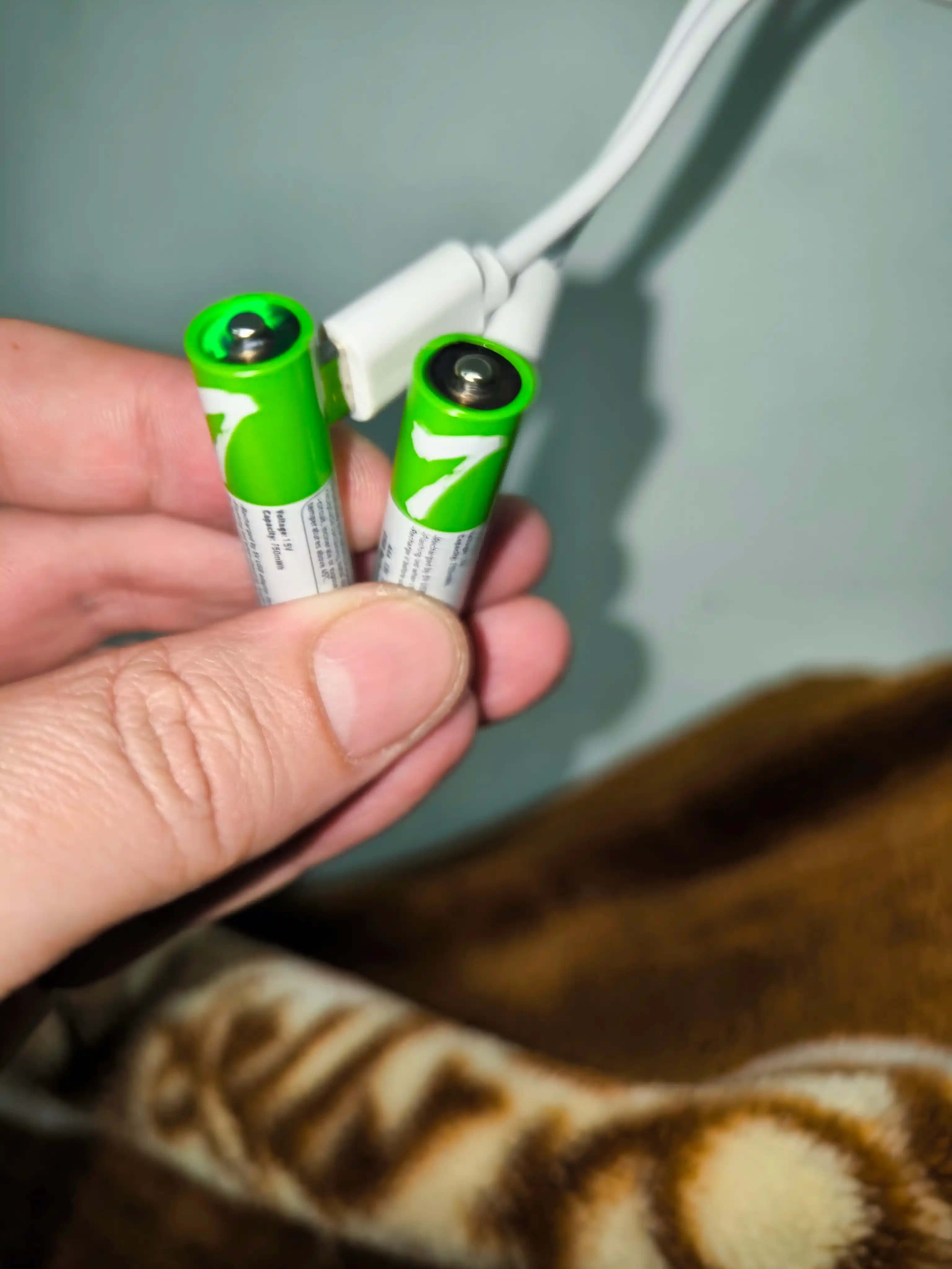 Qayta zaryadlanuvchi batareyalar AA/AAA, USB zaryadlovchi Type-C