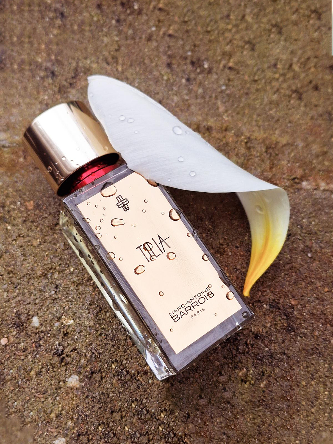 Katta tukli hidli mushuklar porno