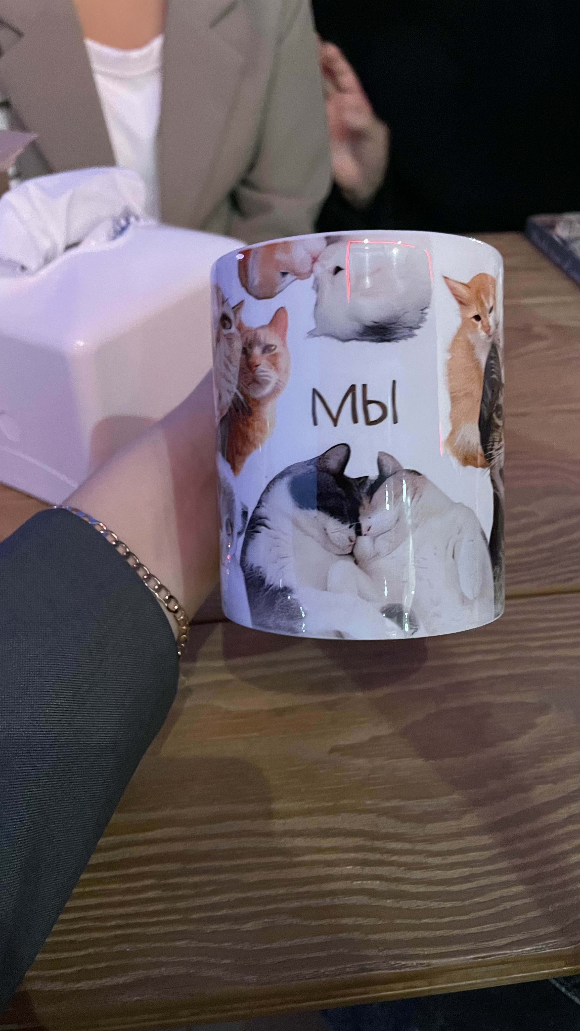 Mem krujkasi, mushuklar bilan stakan