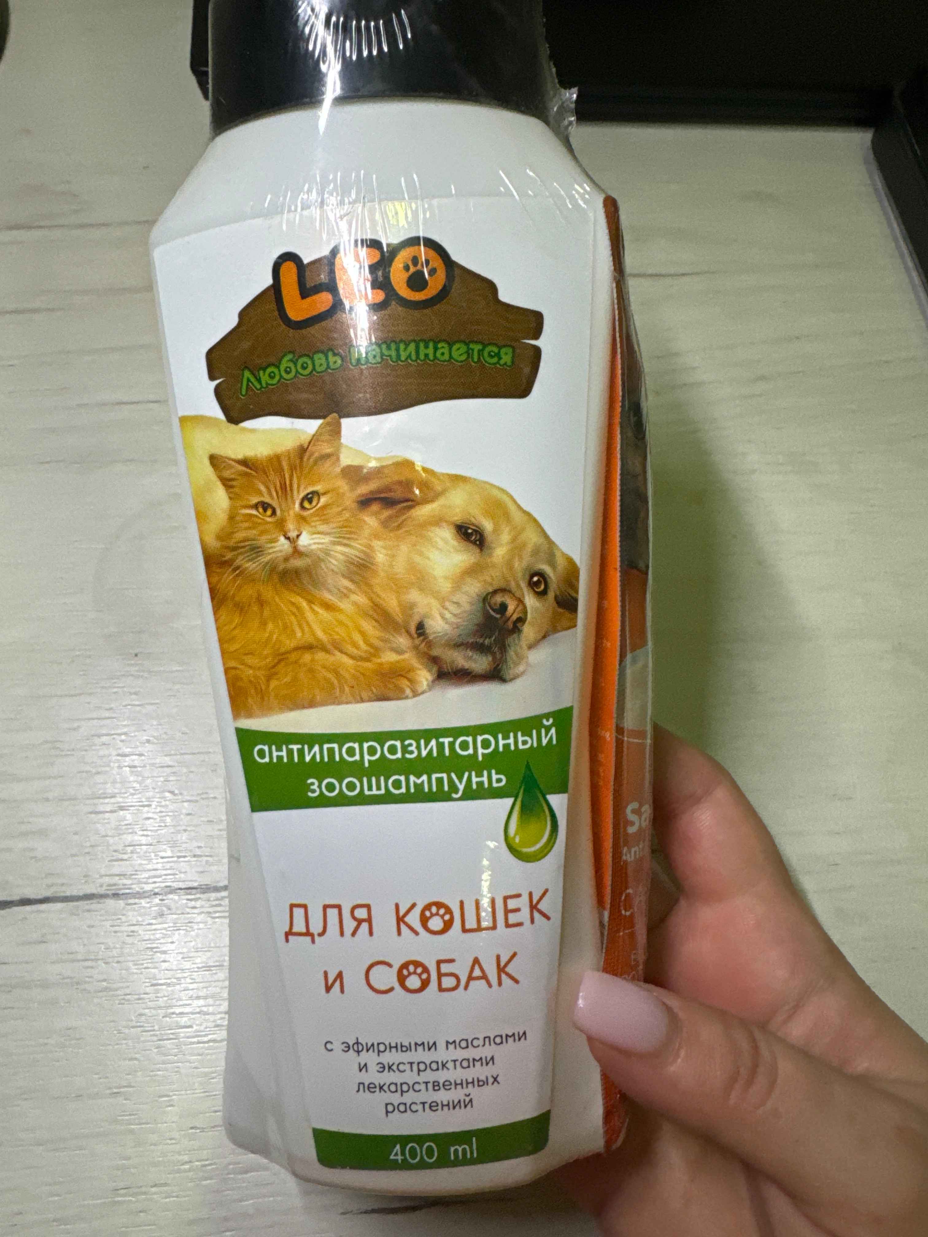 Rus yashirin kamera seks video